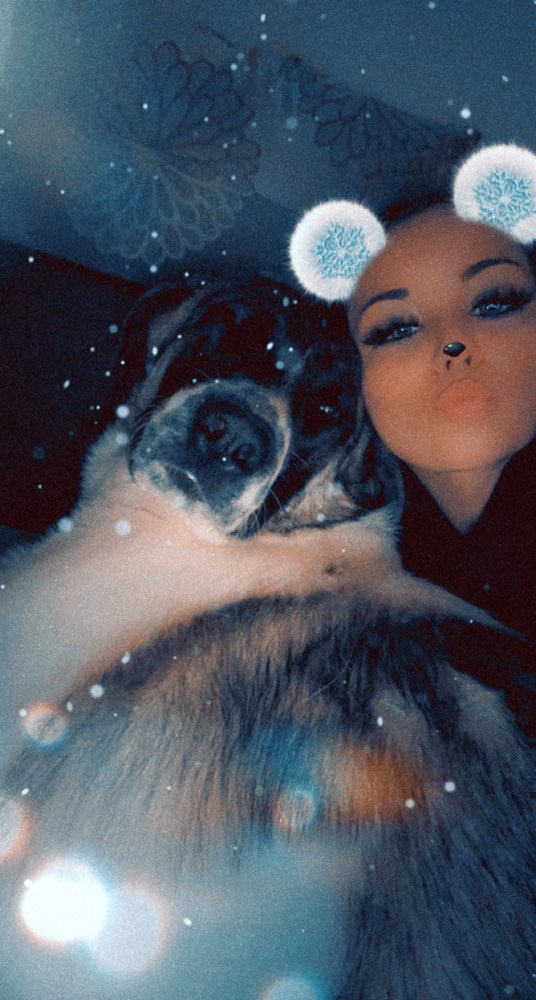 Hundetreffen-Training, laufen, spielen-Profilbild