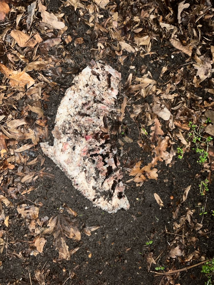 Giftköder-Tierreste-Profilbild