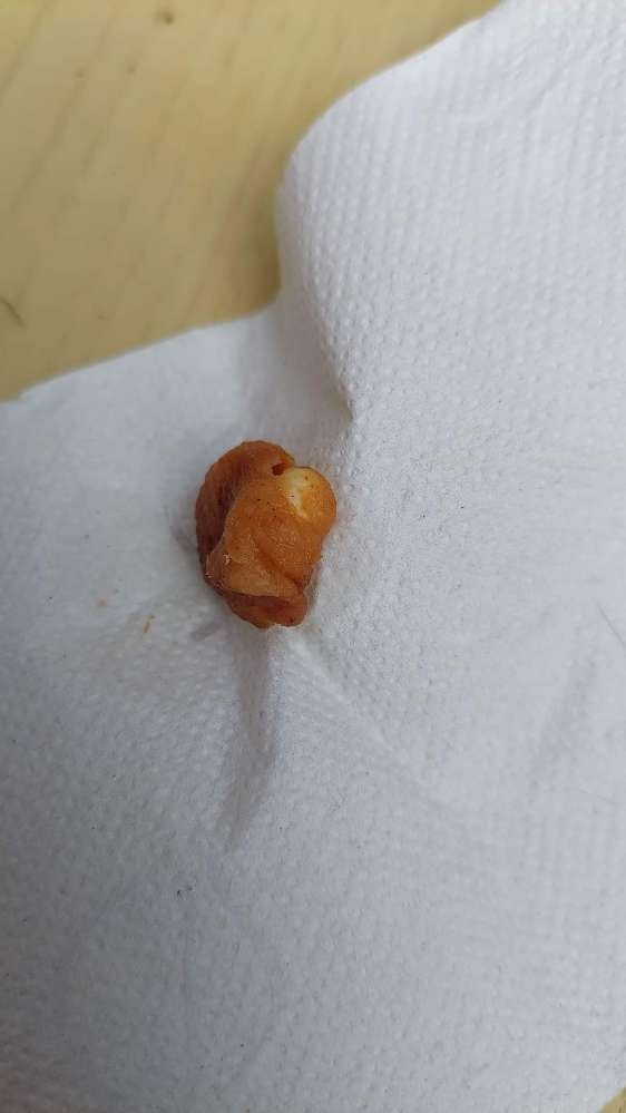 Giftköder-Giftköder-Profilbild