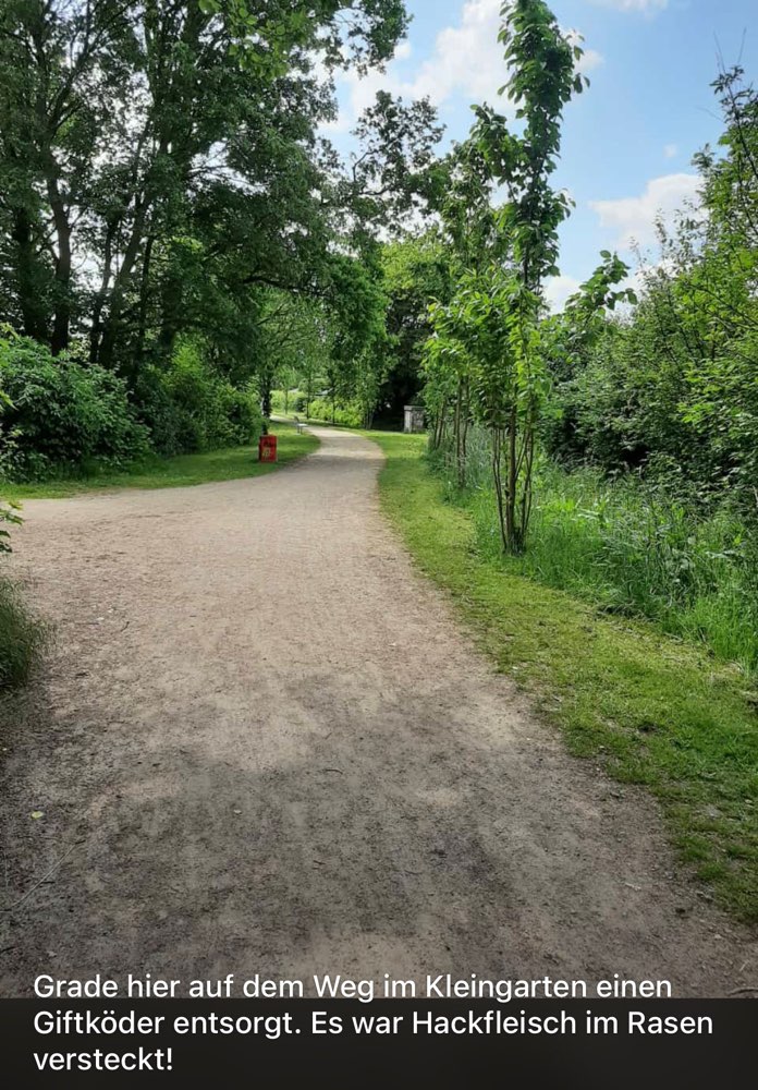 Giftköder-Verm. Giftköder : Hackfleisch im Rasen-Profilbild