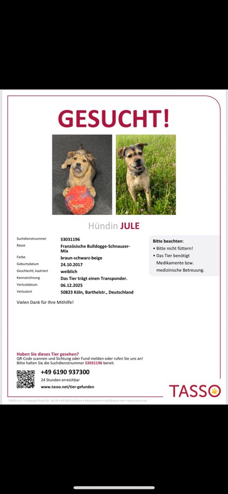 Suchmeldung-Jule-Profilbild