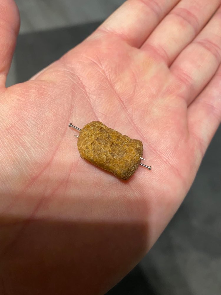 Giftköder-Leckerli mit Nägeln-Profilbild