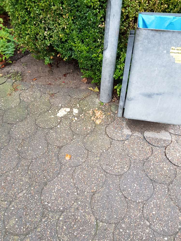 Giftköder-Katzenfutter ausgelegt, sehr viel.-Profilbild