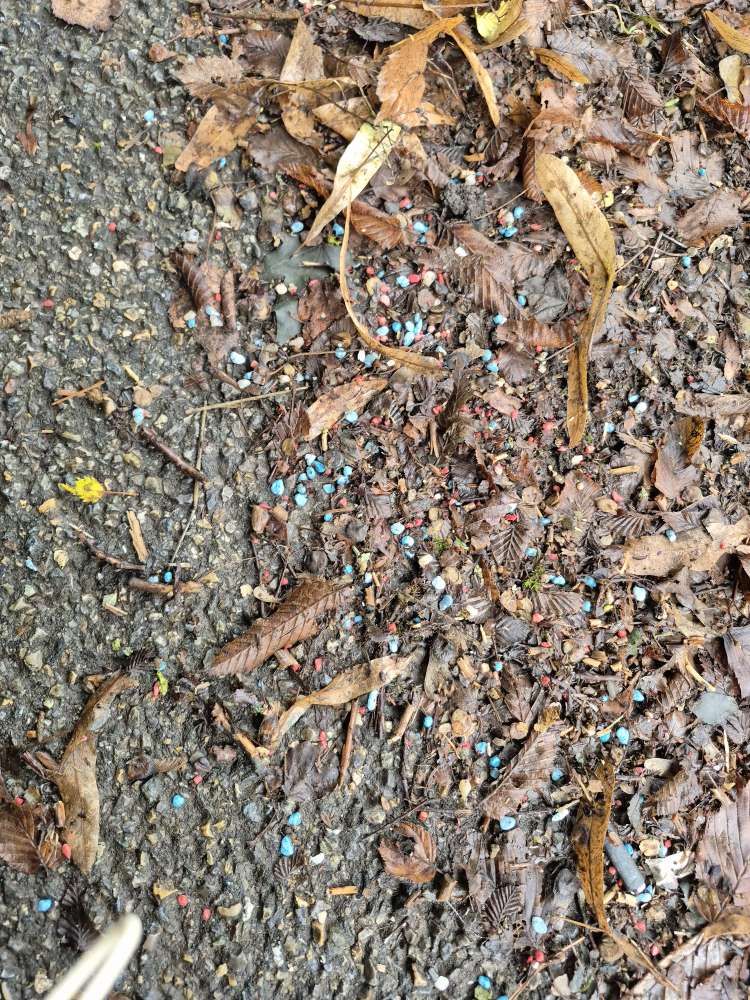 Giftköder-Schneckenkorn/Rattengift-Profilbild