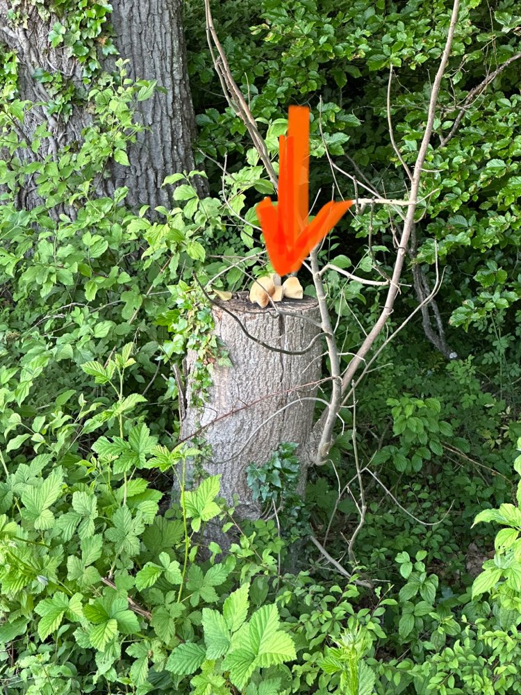 Giftköder-Große Brotbrocken-Profilbild