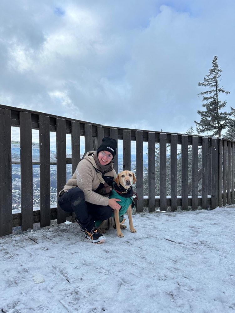 Hundetreffen-Gemeinsame entspannte Spaziergänge-Profilbild