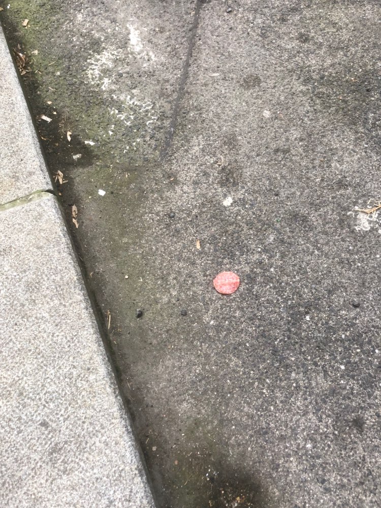 Giftköder-Erneut eigenartige Salamischeiben-Profilbild