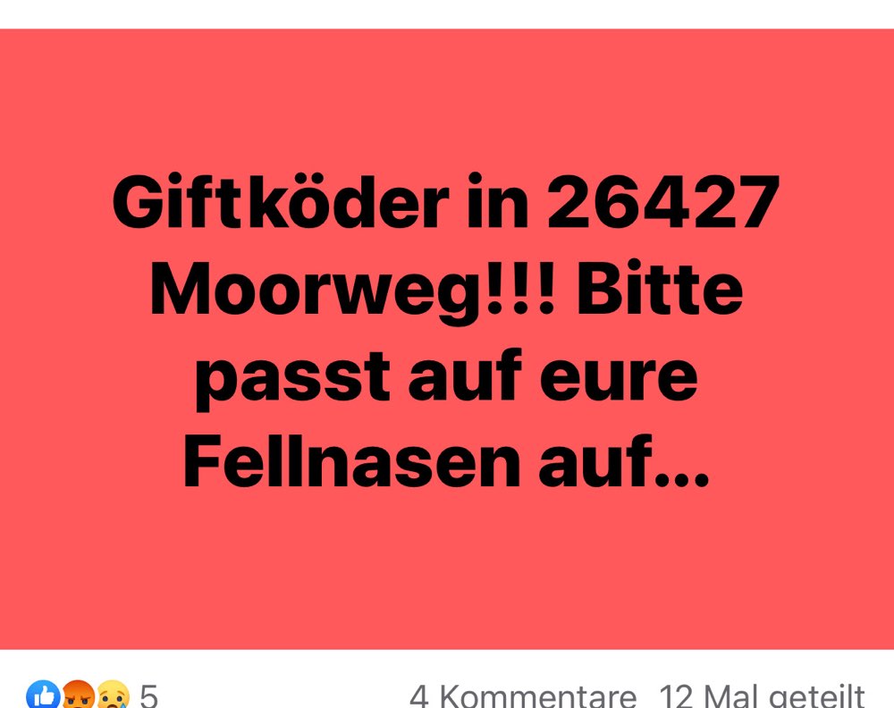 Giftköder-Gittköder-Profilbild