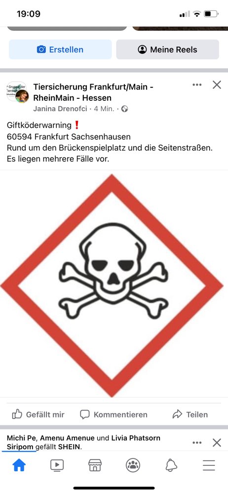 Giftköder-Giftköder rundum Brückenspielplatz-Profilbild