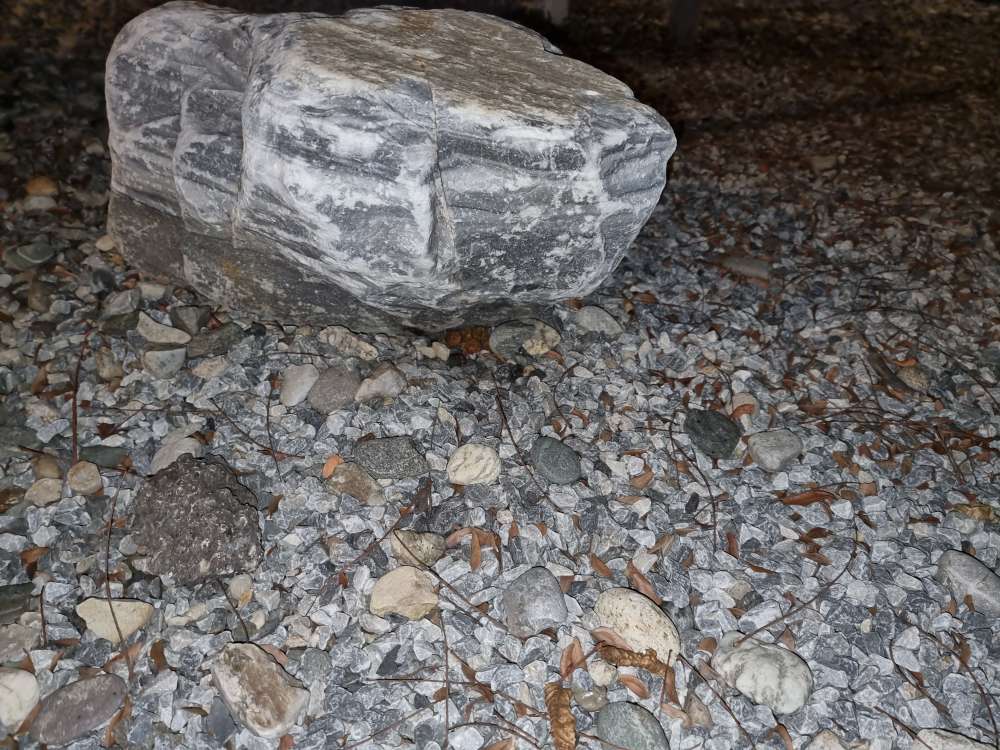 Giftköder-Potentielle Giftköder-Profilbild