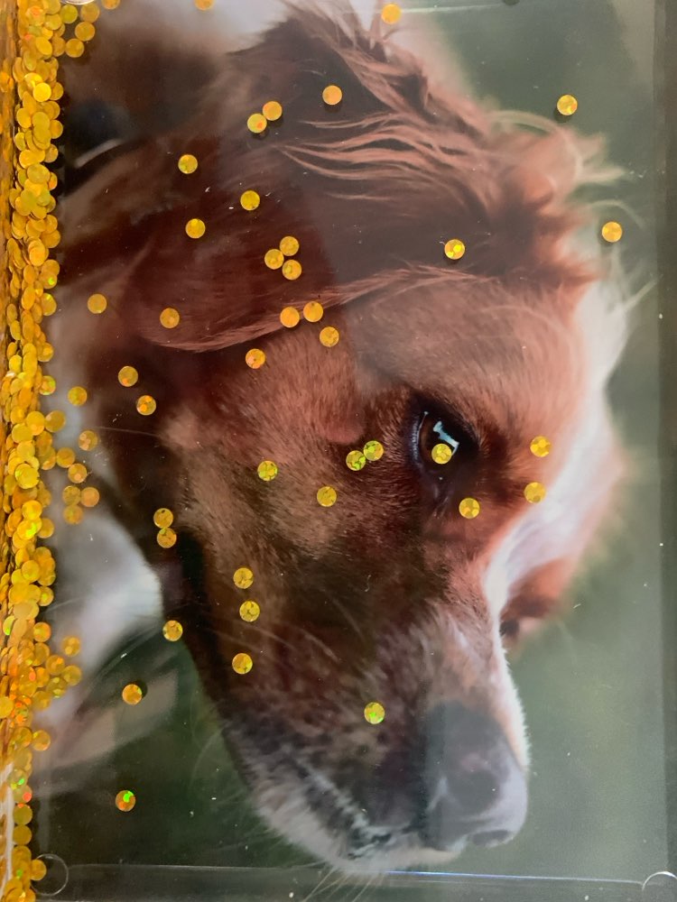 Giftköder-Mehrere Häufchen von weißem Zeug-Profilbild