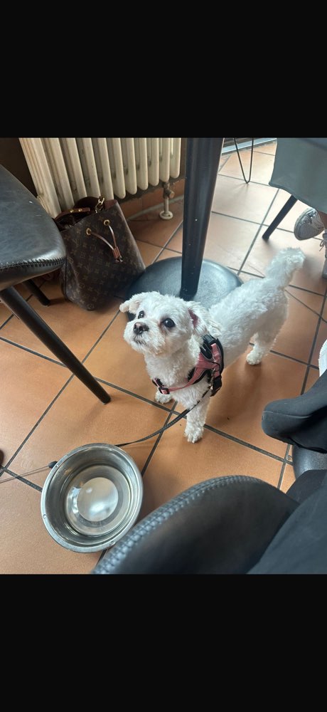 Suchmeldung-Malti-Profilbild