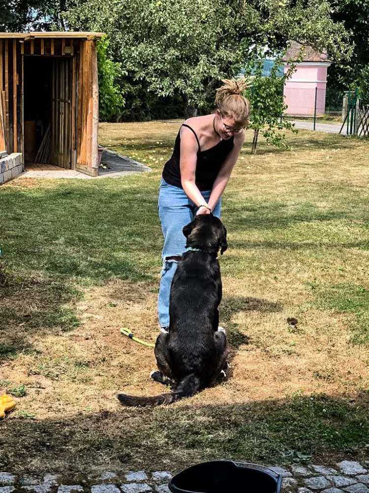 Tag der Adoption von eurem Tierschutz Hund 🐕 Banner