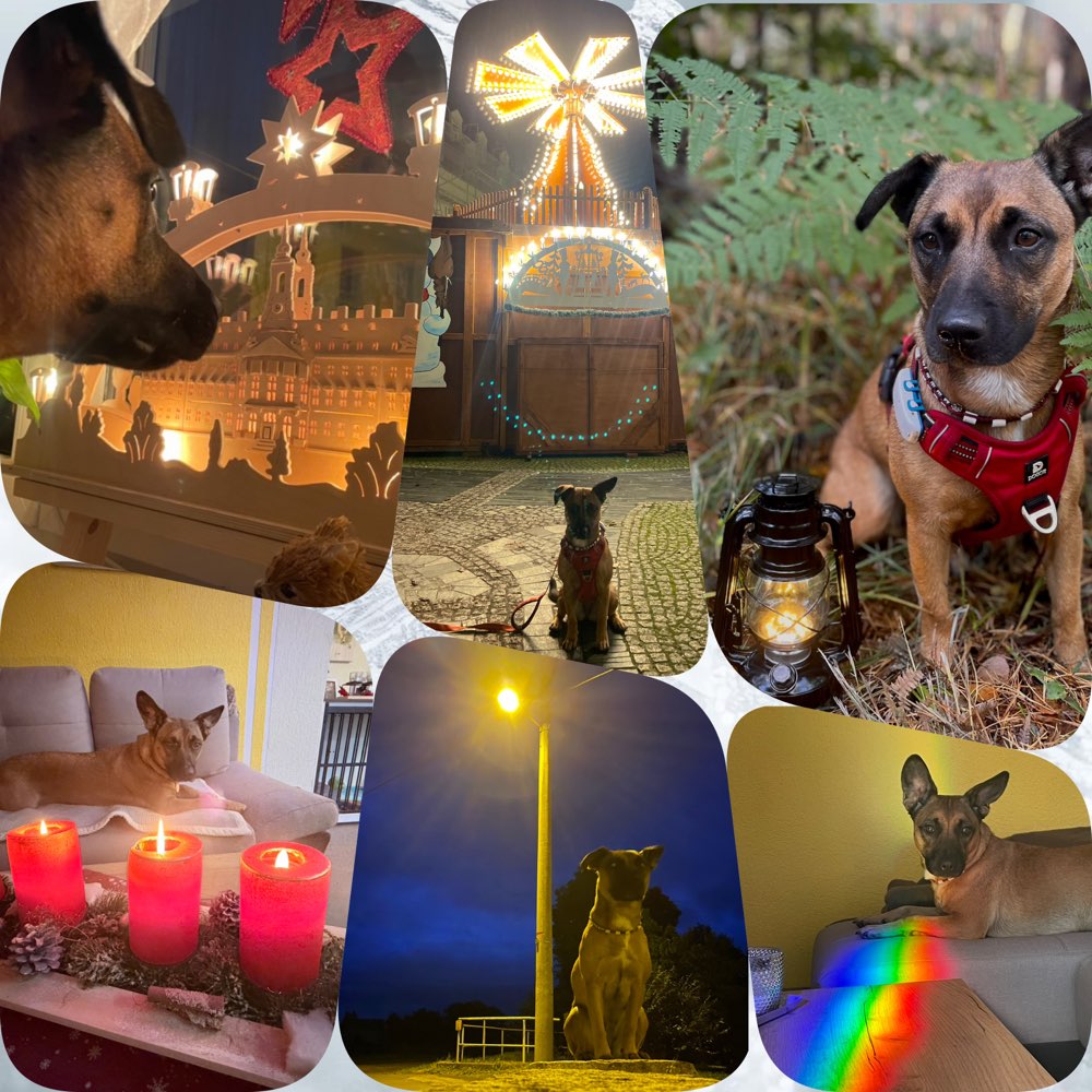 168. Collage Challenge Banner