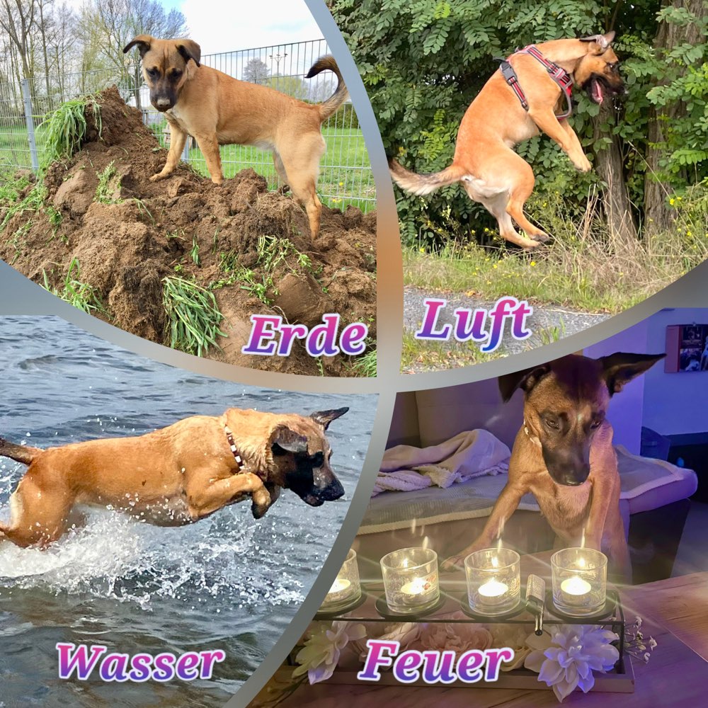 181. Collage Challenge Banner