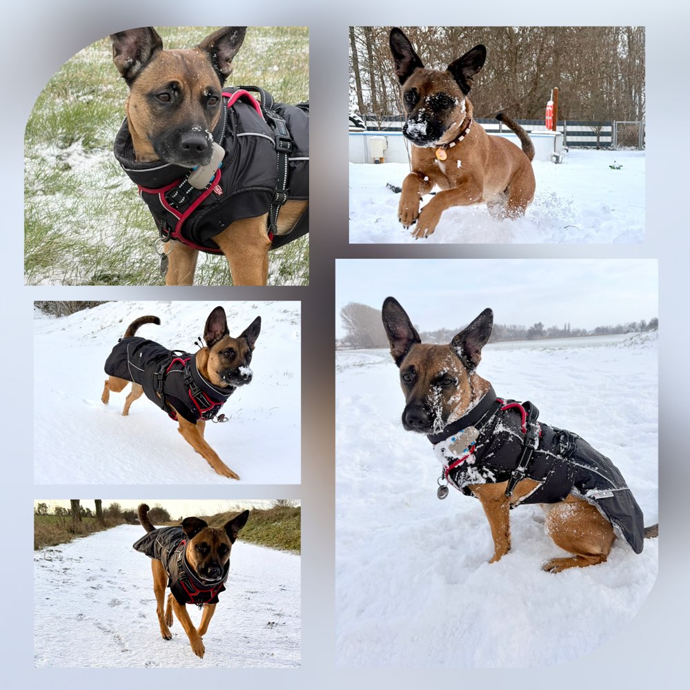 170. Collage Challenge Banner