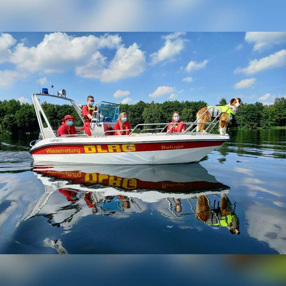 Hundetreffen-DLRG Wasserortungshunde zur Ausbildung gesucht-Profilbild