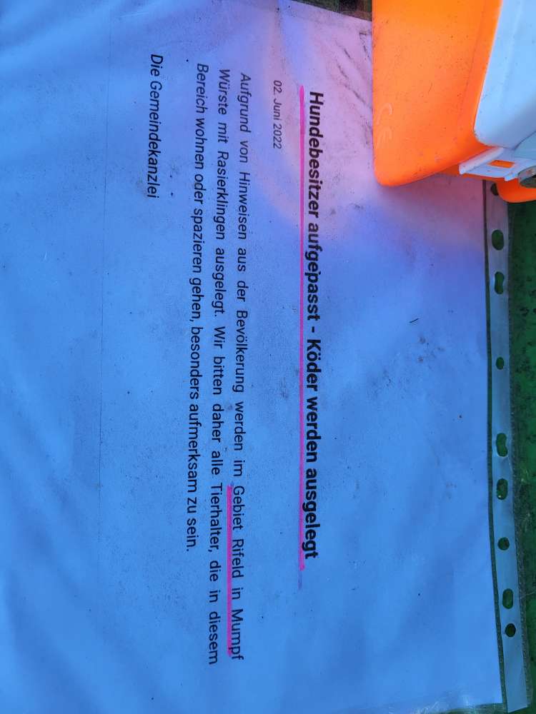 Giftköder-WURST MIT KLINGEN-Profilbild