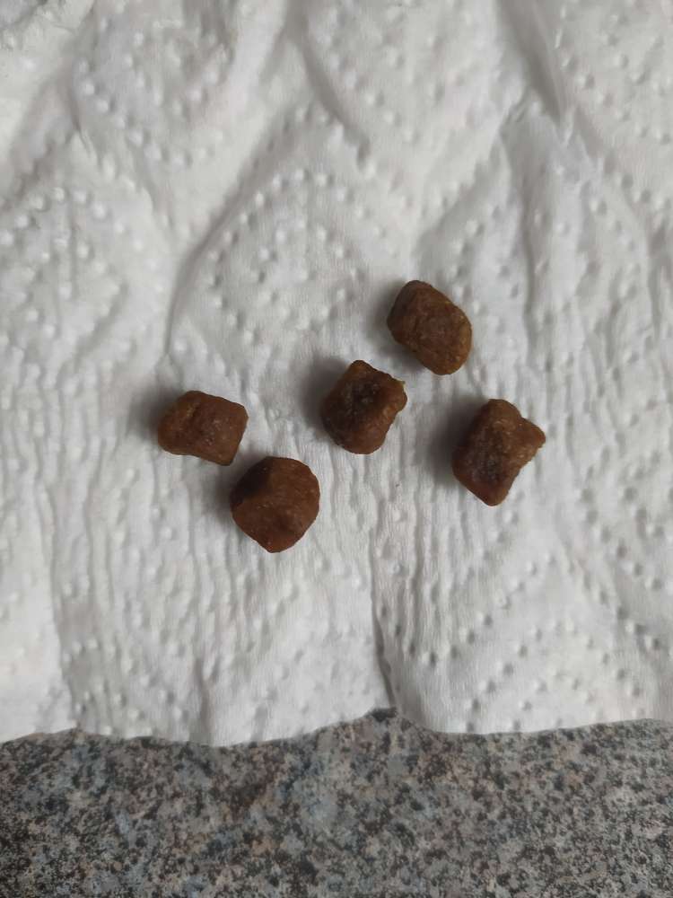 Giftköder-Potenzielle Giftköder-Profilbild