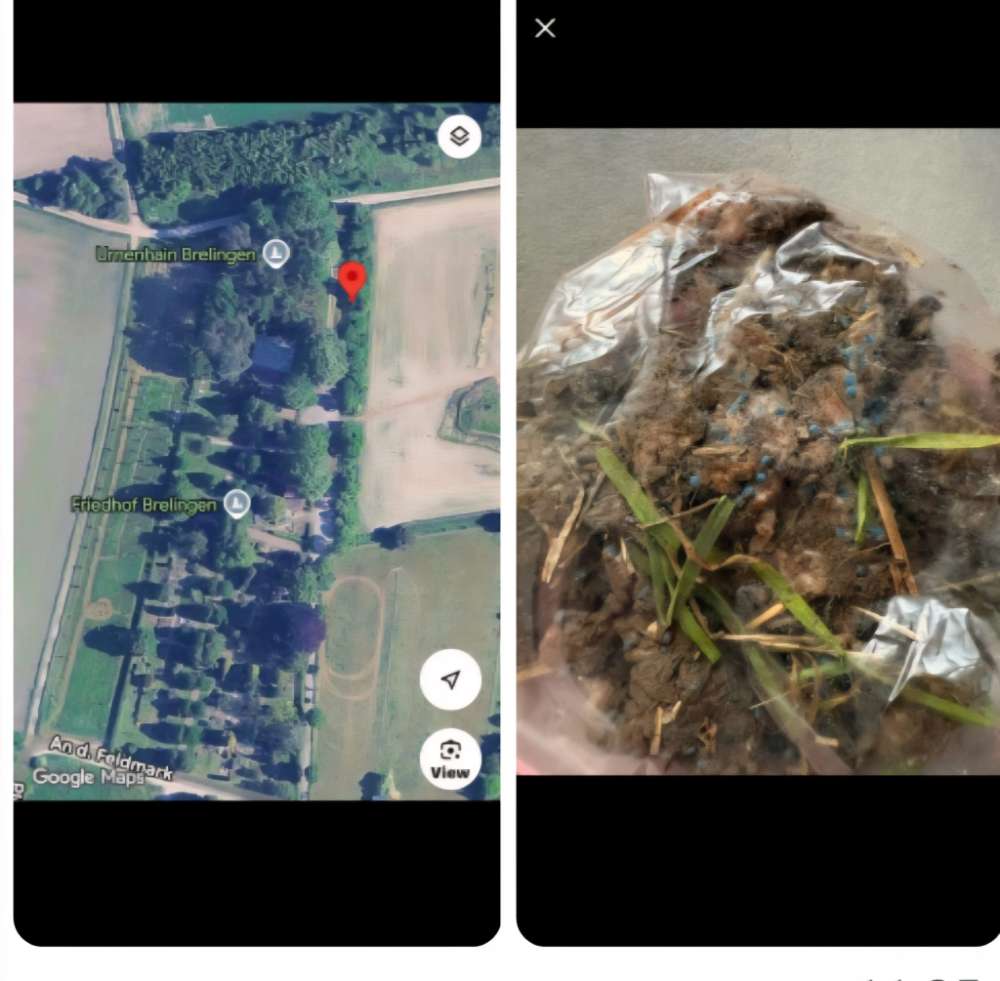 Giftköder-Giftköder-Profilbild