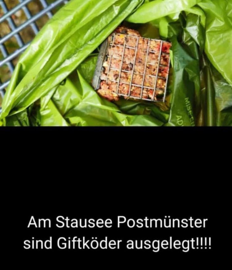 Giftköder-Giftköder-Profilbild