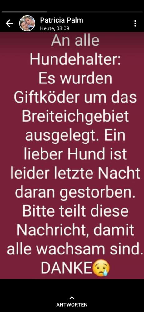 Giftköder-Giftköder-Profilbild