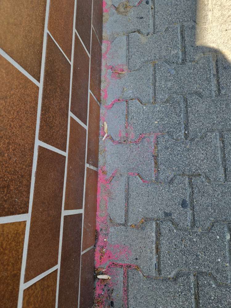 Giftköder-Undefinierbares Pulver-Profilbild