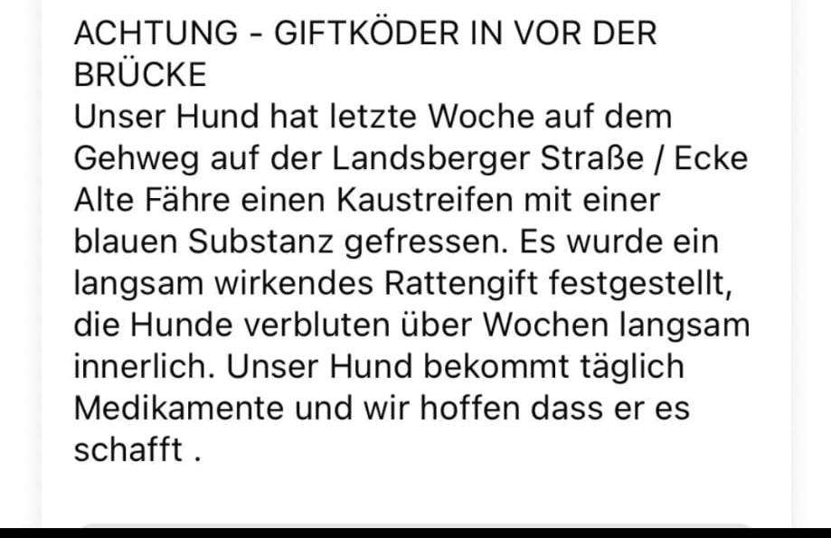 Giftköder-Giftköder-Profilbild