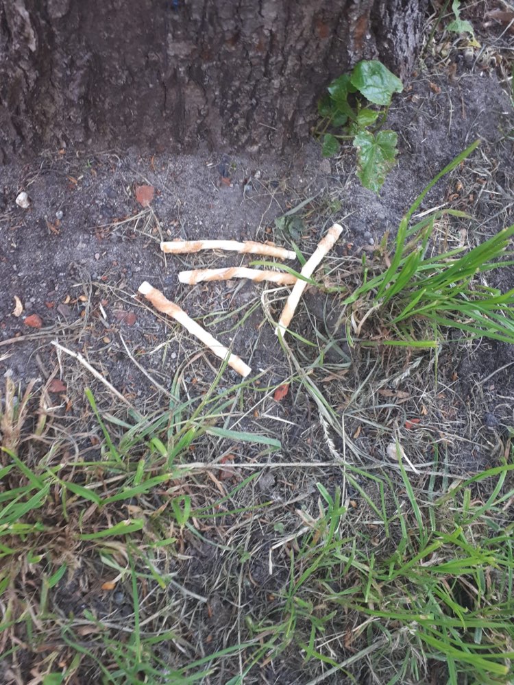 Giftköder-Giftköder!-Profilbild