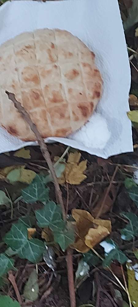 Giftköder-Vermutlich Rattengift auf Fladenbrot-Profilbild