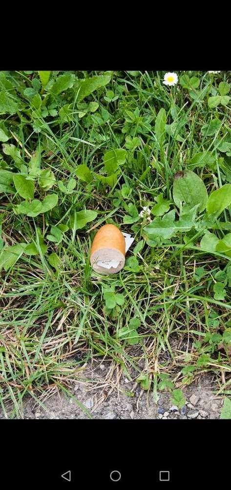 Giftköder-Wurststücke mit Rasierklingen-Profilbild