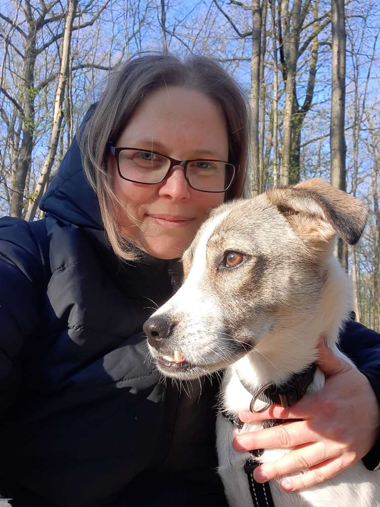 Hundetreffen-Bieten Hunde Urlaubsbetreuung-Profilbild