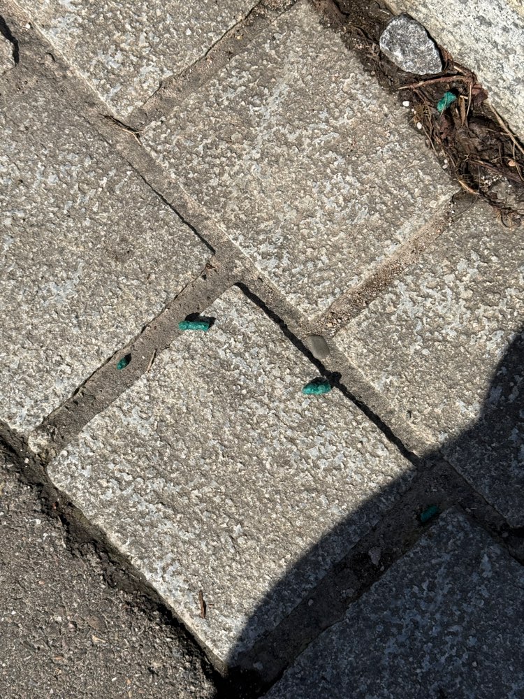 Giftköder-Rattengift, Blaukorn in Merzhausen-Profilbild