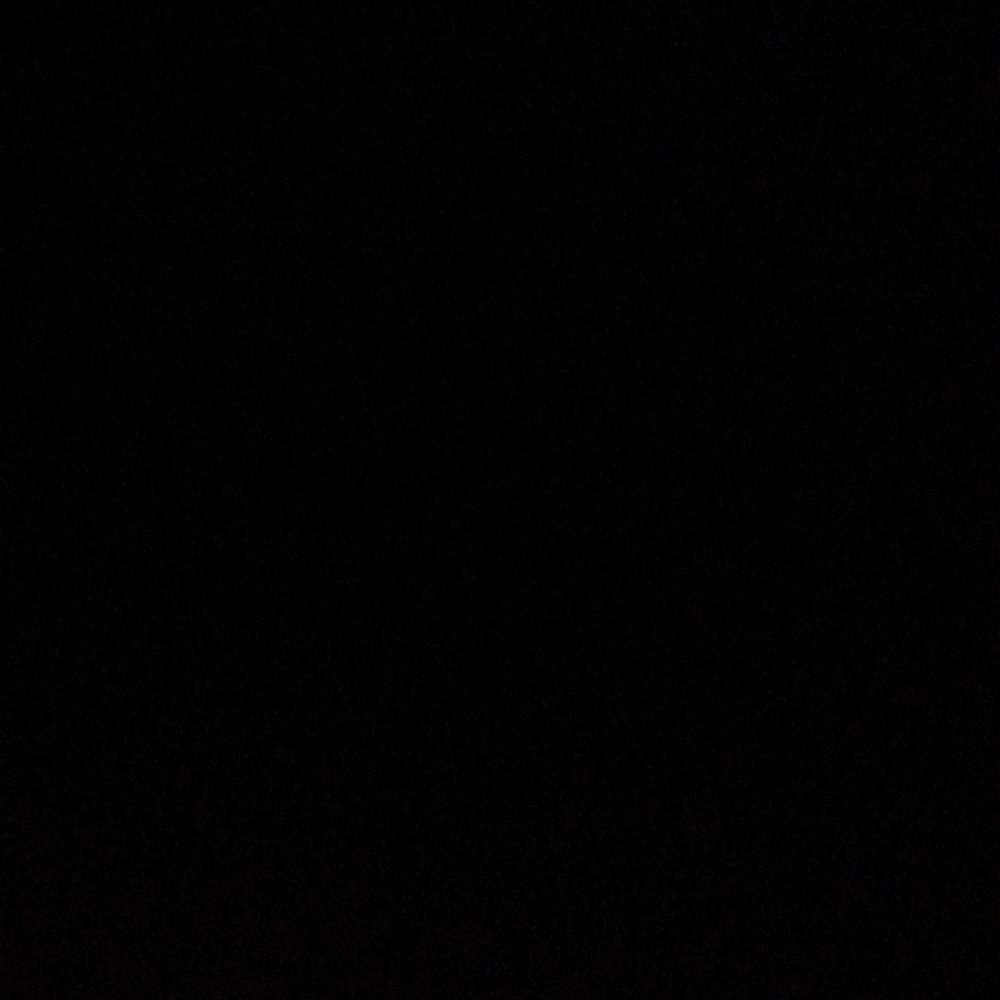 Hundetreffen-Gassi Runde im Taubental-Profilbild