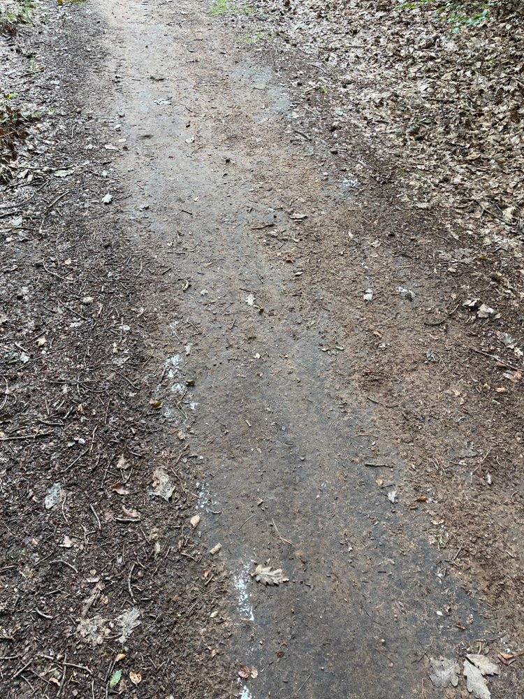 Giftköder-Weißes Pulver-Profilbild