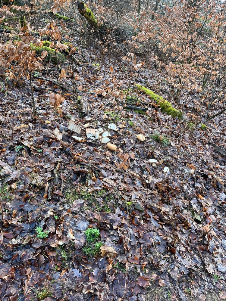 Giftköder-Brot und Backwaren ausgelegt-Profilbild