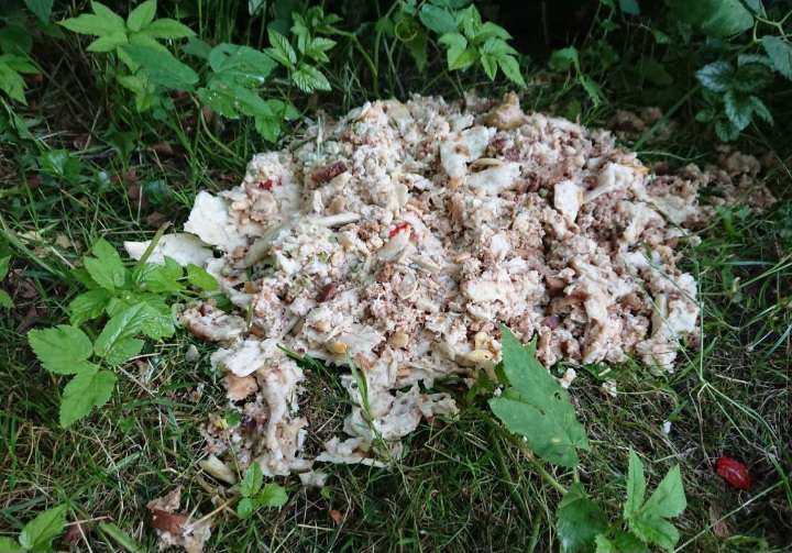 Giftköder-Essensreste! (Reis-Brotgemisch)-Profilbild