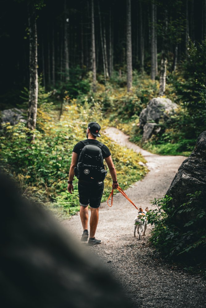 Hundetreffen-Gassi-Buddy’s im Umkreis Hann. Münden/Witzenhausen-Profilbild