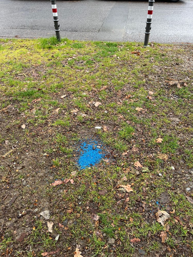 Giftköder-Blaue Körner, Achtung Gift!-Profilbild