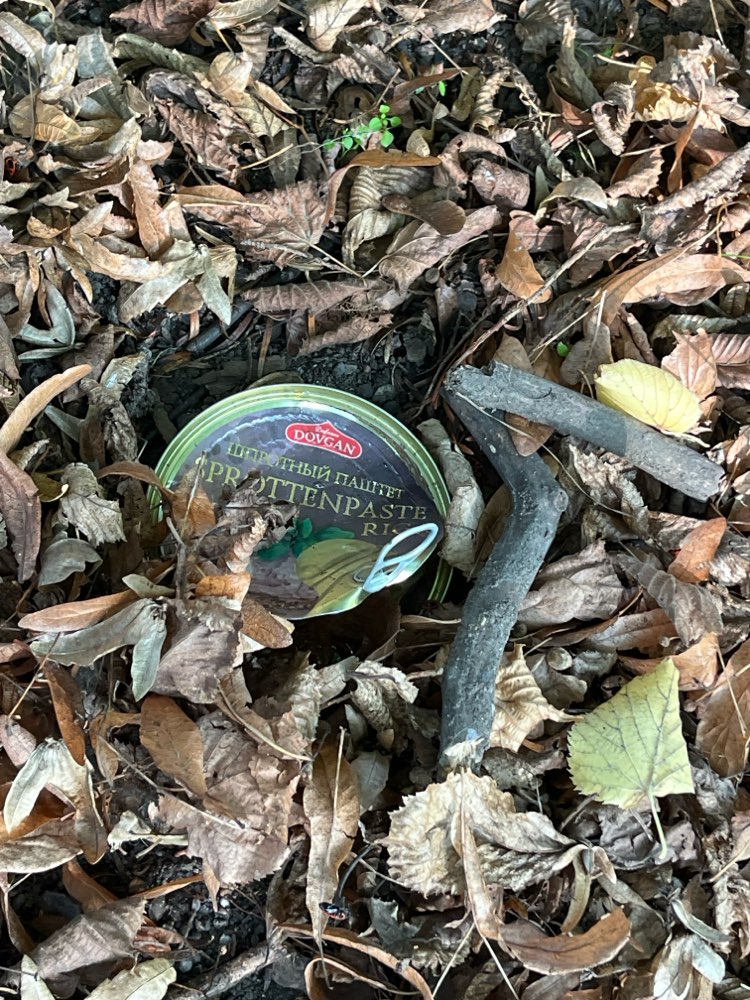 Giftköder-Evtl. Giftköder Humboldtpark-Profilbild