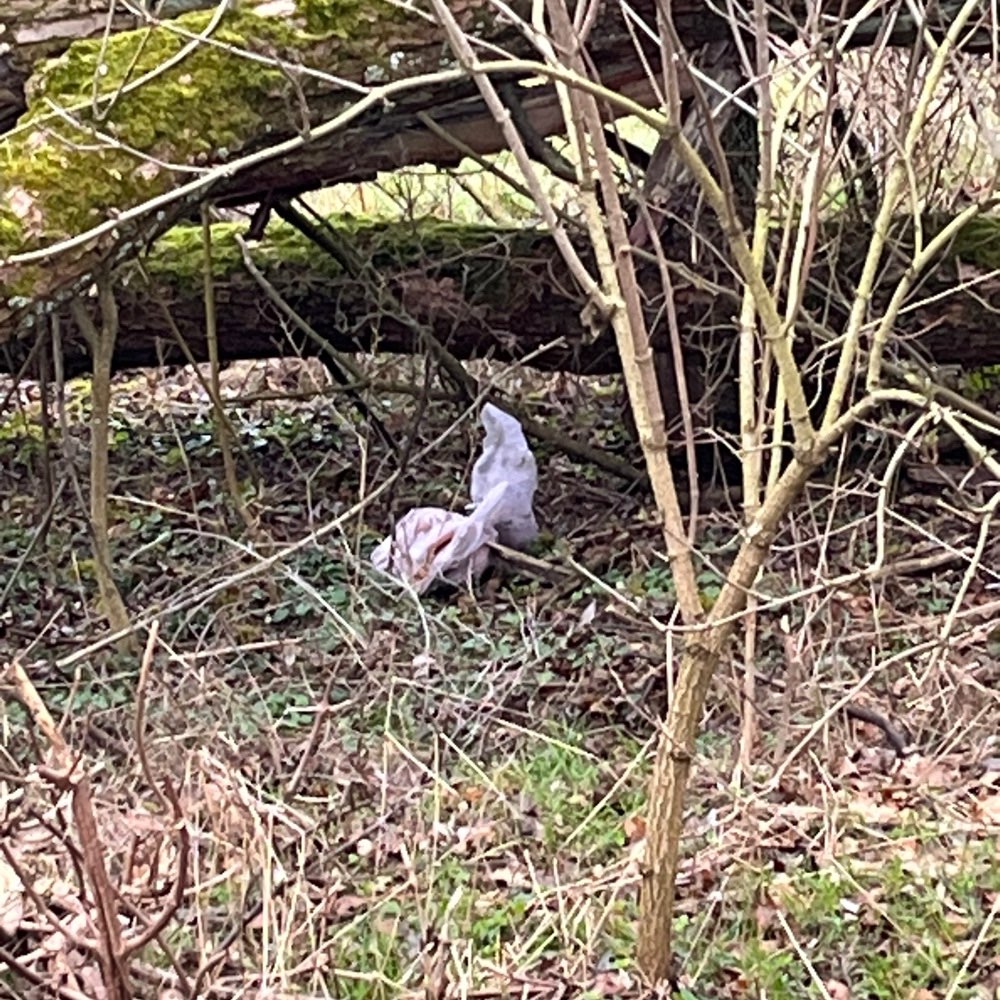 Giftköder-Fleisch in einer Tüte-Profilbild