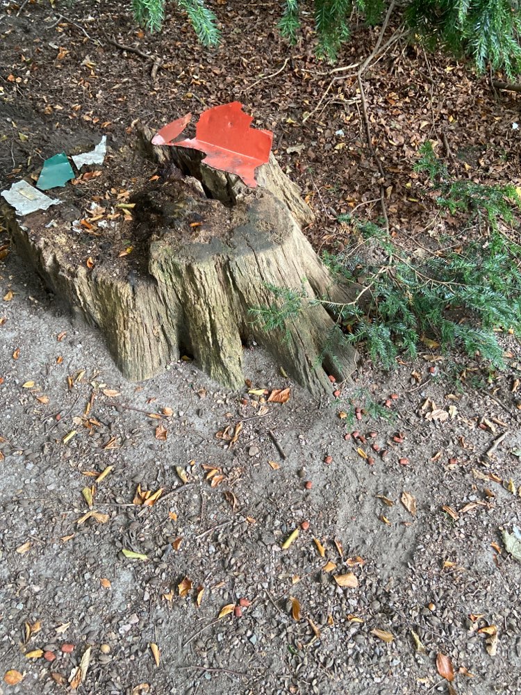 Giftköder-Auffällige Köder(Gift) im Hammer Park-Profilbild