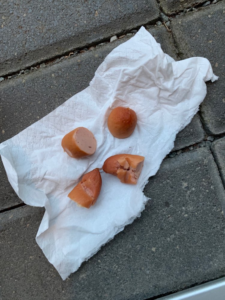 Giftköder-Wurststücke/Wurstenden in BS/Schapen-Profilbild