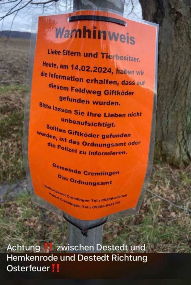 Giftköder-Giftköder-Profilbild