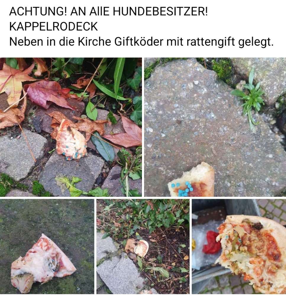 Giftköder-Giftköder-Profilbild