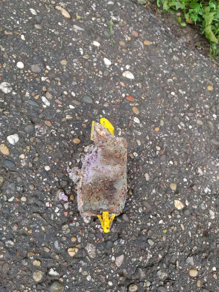 Giftköder-Giftköder ?-Profilbild