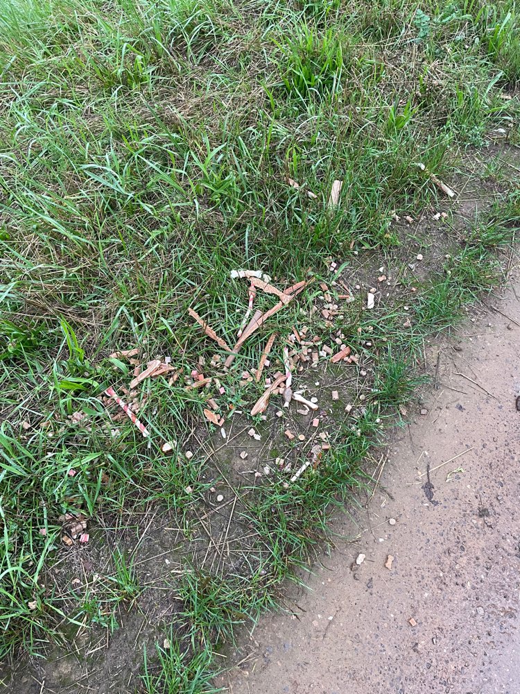 Giftköder-Diverse Hundeleckerlies (evtl. Giftköder-Profilbild