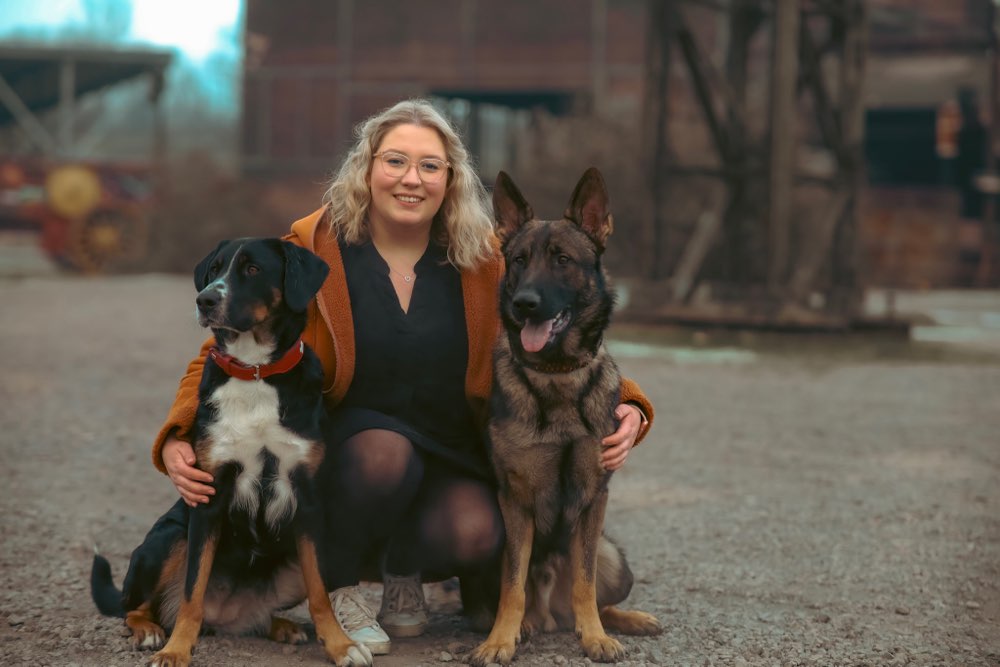 Hundetreffen-Sozial Walk-Profilbild