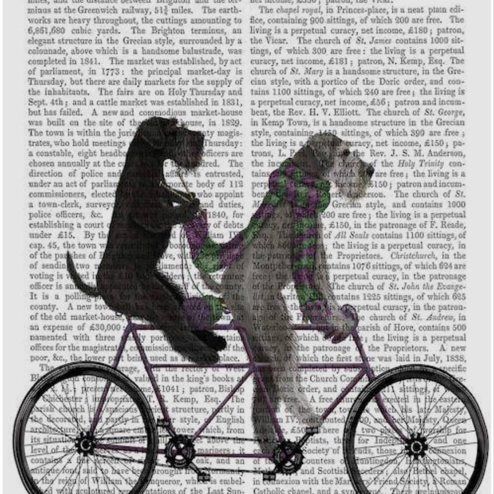 Hundetreffen-Spiel- und Gassirunde Steinfeld/Schaidt/ Bad Bergzabern/ Umgebung-Profilbild