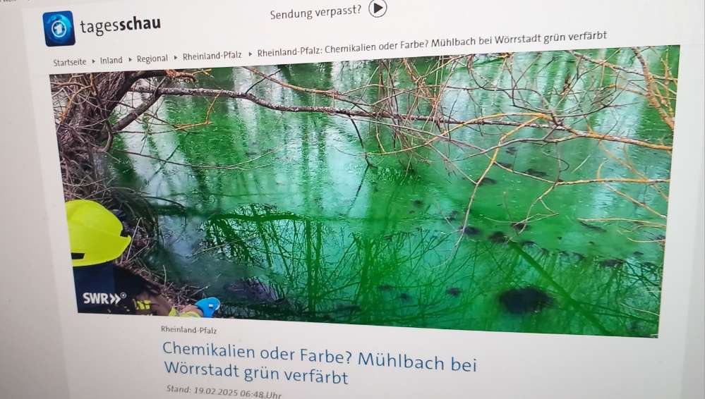 Giftköder-Knallgrün gefärbter Mühlbach-Profilbild